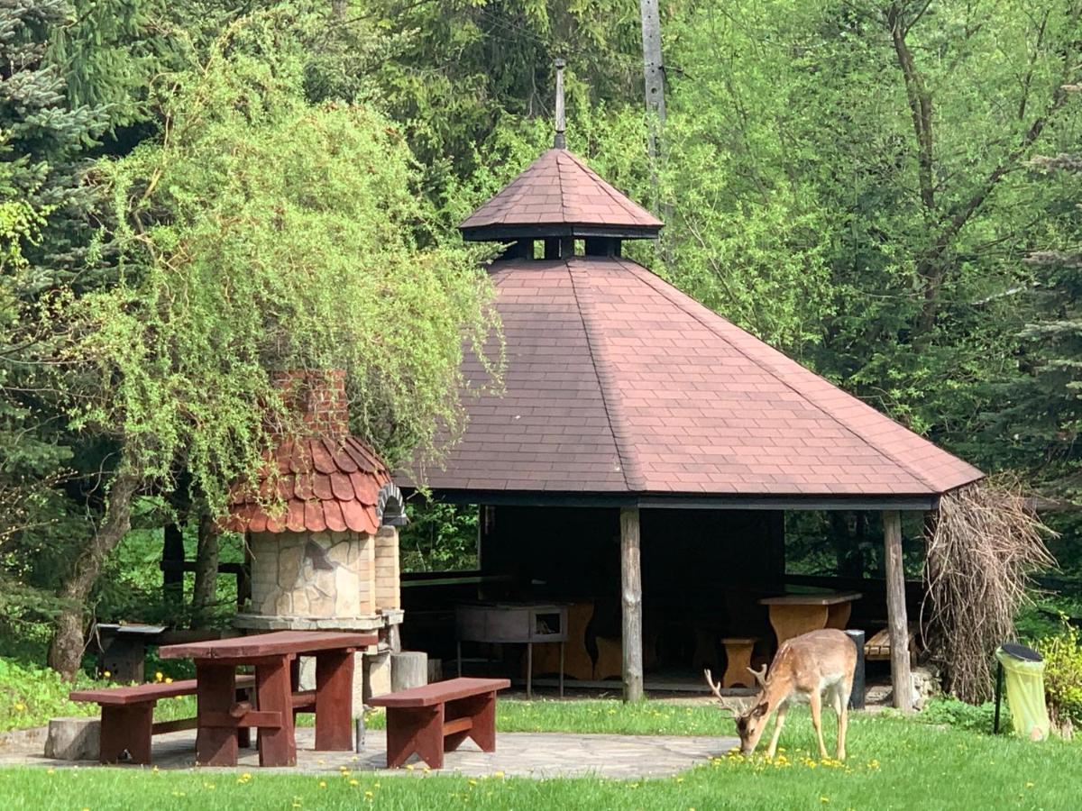 Gosciniec Pod Smrekami Czorsztyn Exterior foto
