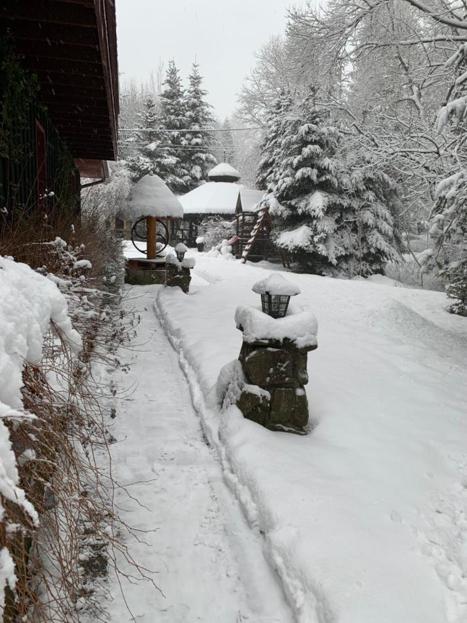 Gosciniec Pod Smrekami Czorsztyn Exterior foto